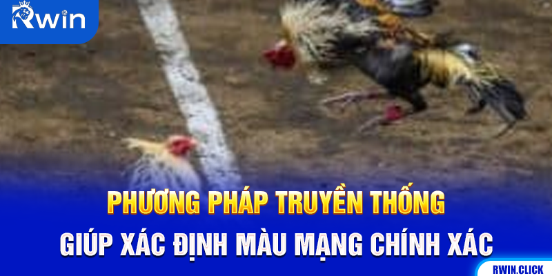 Cách xác định màu mạng gà đá chuẩn