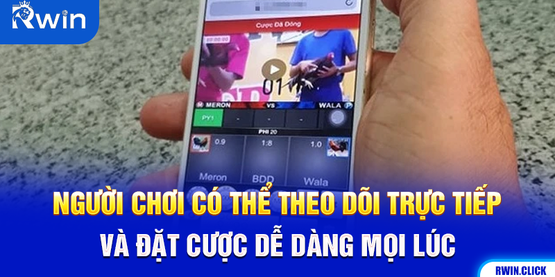 Đá gà online Philippines qua điện thoại