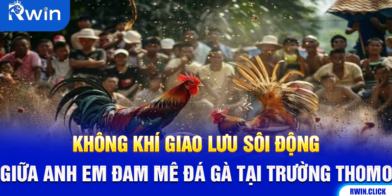 Giao lưu anh em đam mê đá gà trường Thomo