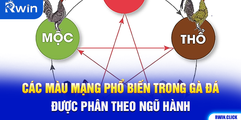 Màu mạng gà đá đa dạng phong phú
