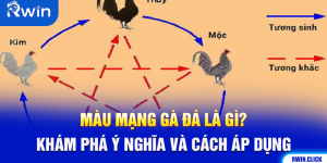 Màu Mạng Gà Đá Là Gì? Khám Phá Ý Nghĩa Và Cách Áp Dụng
